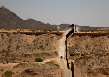 Científicos colocan cámaras de movimiento en la frontera entre Estados Unidos y México y se topan con fauna salvaje inesperada