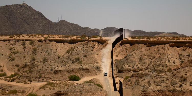 Científicos colocan cámaras de movimiento en la frontera entre Estados Unidos y México y se topan con fauna salvaje inesperada