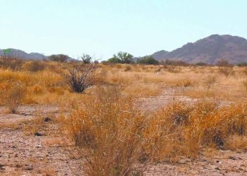 Baja Californias y Sonora, con peor sequía que hace un año