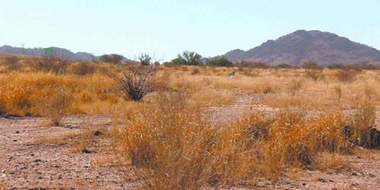 Baja Californias y Sonora, con peor sequía que hace un año