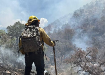 Liquidan incendio forestal en Sierra Los Ajos, devastó más de 10 mil hectáreas