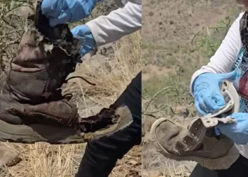 Colectivo Localiza Osamentas y Prendas de Vestir en Ejido Félix Gómez “El Dipo” en Pitiquito