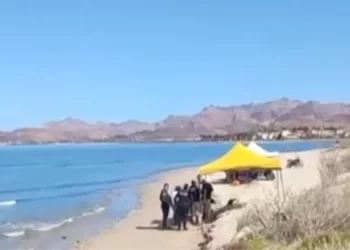 Colectivo Localiza Restos Humanos en Playa de San Carlos, Nuevo Guaymas