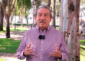 Vaquita marina: urge un compromiso internacional para evitar su extinción