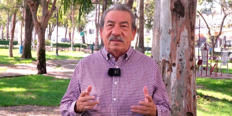 Vaquita marina: urge un compromiso internacional para evitar su extinción