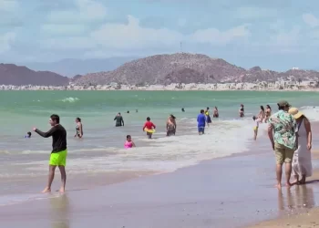 Playas de Sonora ¿Son Aptas para Visitar estas Vacaciones? Esto Dice la Cofepris