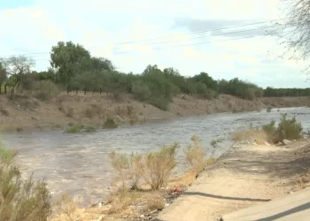 Llega Agua al Río San Miguel en San Pedro El Saucito