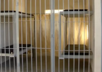 Sonora es Tercer Lugar Nacional con Mayor Ocupación en Centros Penitenciarios