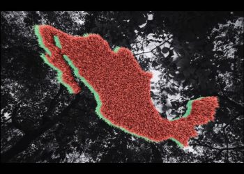 84 defensores del medio ambiente asesinados en México desde 2016: ONG