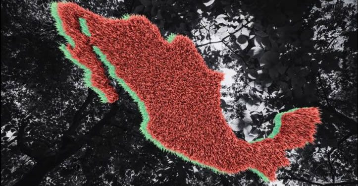 84 defensores del medio ambiente asesinados en México desde 2016: ONG