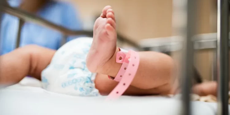 Jóvenes tienen menos hijos por incertidumbre económica: “es mucha responsabilidad”