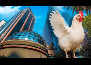 Bachoco anuncia salida definitiva de la BMV con cancelación de deuda