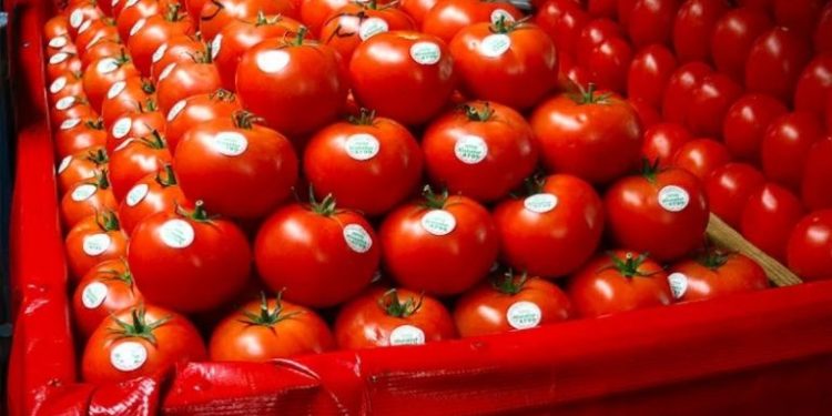 Sin alteraciones precio del tomate tras imposición arancelaria de Trump