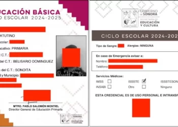 Interpone SEC denuncia por filtración de datos personales; Hackers filtraron información de niños