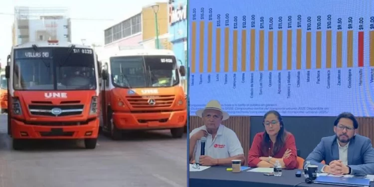 Destruyen en Sonora más de 300 armas en el Día Internacional de la Destrucción de las Armas de Fuego