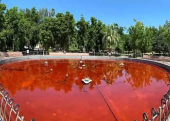 Fuente del Parque I. Madero en Hermosillo es Teñida de Rojo como Acto de Protesta
