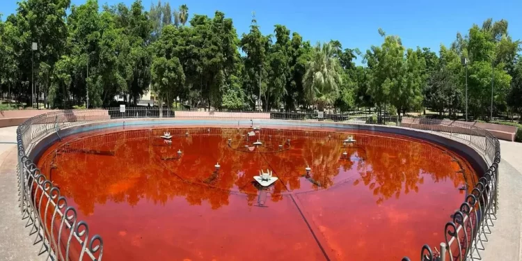 Fuente del Parque I. Madero en Hermosillo es Teñida de Rojo como Acto de Protesta