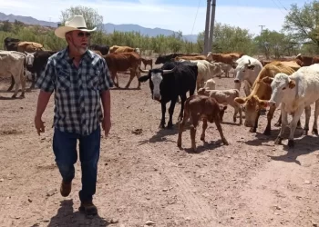 Mueren 28 personas por golpes de calor en México; Sonora entre los estados más afectados