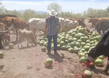 Es tarde para los ganaderos en Sonora: Alberto López Mazón sobre reapertura de EEUU