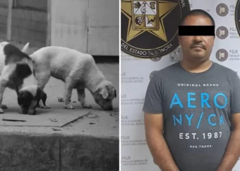 Hombre Envenena a Perros de Vecinos porque le Molestaba Escuchar sus Ladridos; 4 Murieron