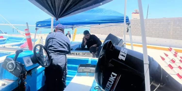 Dow ve oportunidades en la movilidad eléctrica más allá del litio