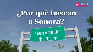 ¿Por qué buscan a Sonora?