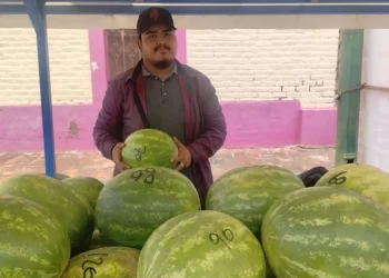 Sandía fresca traída de Sonora, es el sustento de Iram Barraza y su familia en Angostura