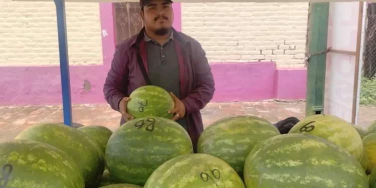 Sandía fresca traída de Sonora, es el sustento de Iram Barraza y su familia en Angostura
