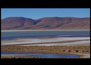 La extracción de litio que amenaza con dejar sin agua a comunidades indígenas de Bolivia: “Me dijeron que somos el obstáculo para el desarrollo”