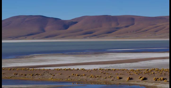 La extracción de litio que amenaza con dejar sin agua a comunidades indígenas de Bolivia: “Me dijeron que somos el obstáculo para el desarrollo”