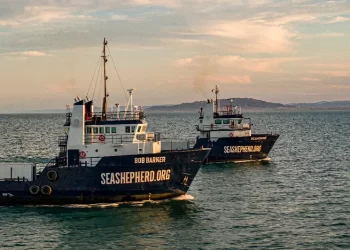 Zarpará el Crucero Vaquita Marina en busca de los últimos ejemplares en el Alto Golfo de California