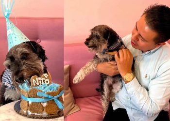 Mexicanos gastan en ‘perrhijos’ más de 15 mil pesos anuales en comida y veterinario