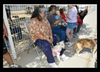 Llevará IMPBA esterilizaciones gratuitas a la San Bosco, Café Combate y Mediterráneo