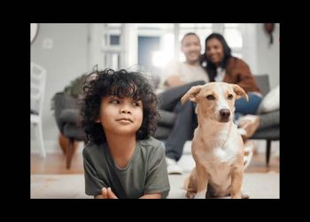 Un promedio de 250 mil perros y gatos habitan en los hogares de Hermosillo