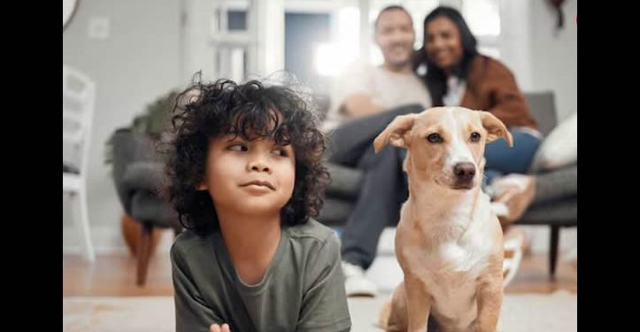 Un promedio de 250 mil perros y gatos habitan en los hogares de Hermosillo