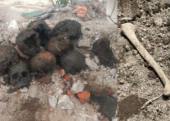 Ceci Flores reporta hallazgo de restos humanos en la colonia Guerrero
