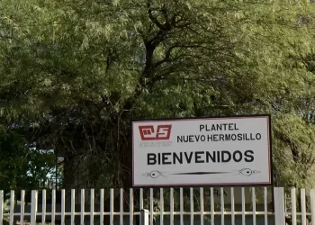 ¿Cuál es el Proceso de Inscripción tras la Asignación de Preparatorias en Sonora?