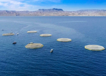 Las prácticas de acuicultura regenerativa de Santomar reconocidas por la Comisión Nacional de Acuacultura y Pesca de México