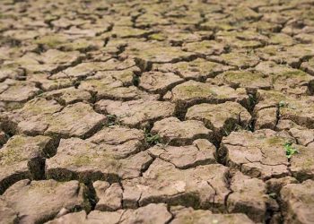 Más del 97% del territorio de Sonora continúa con problemas de sequía