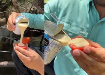 En Sonora se comen el tomate con “lecherita” y así lo disfrutan