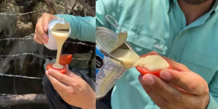 En Sonora se comen el tomate con “lecherita” y así lo disfrutan