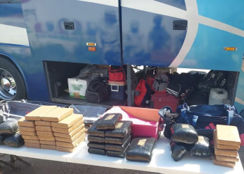 Detienen a 44 pasajeros de un autobús en Sonora; transportaban paquetes de droga en maletas