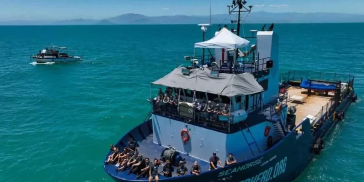 Conanp, Semar y Sea Shepherd alistan salida del Crucero de Observación Vaquita Marina 2025