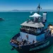 Conanp, Semar y Sea Shepherd alistan salida del Crucero de Observación Vaquita Marina 2025