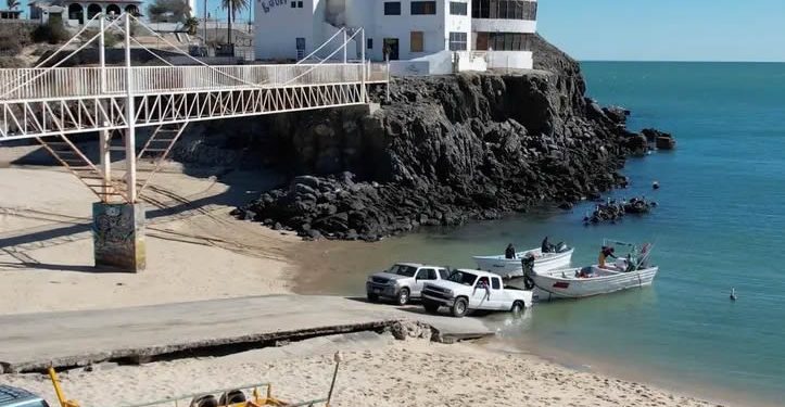 Expertos del CIRVA avalan cambios en polígonos de protección de vaquita marina