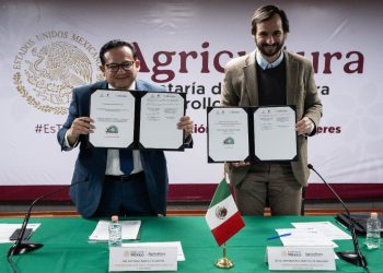México y Emiratos Árabes realizarán 4º Festival Internacional de la Palma Datilera en Baja California y Sonora en noviembre de 2025