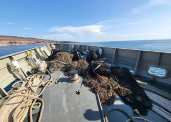 Redes fantasma: amenaza invisible para la biodiversidad marina de Baja California Sur