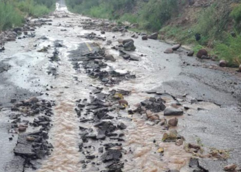 En alerta carretera en Sonora por daños de lluvias; tránsito entre Bavispe y Bacerac queda interrumpido