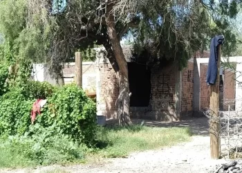 Buscadoras por la Paz Encuentran a Joven Sin Vida Dentro de Obra Negra Abandonada en Hermosillo