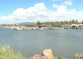 Encuentran Cuerpo Sin Vida Flotando en Isla de Pájaros en Guaymas
